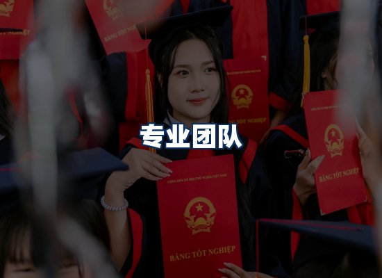 专业团队